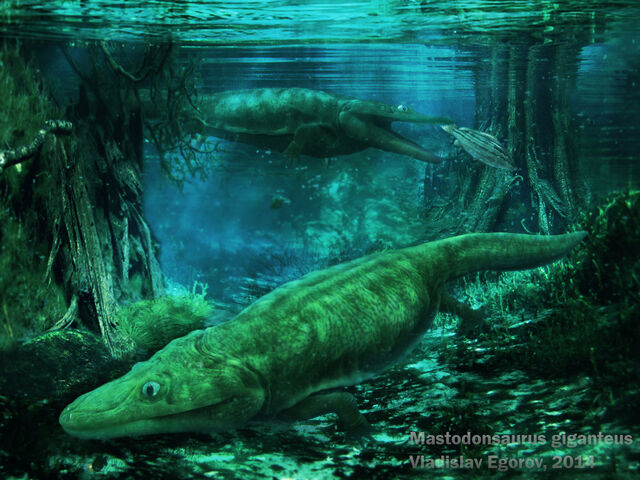 File:Mastodonsaurus by anthodonkr-d8qa2e1.jpg