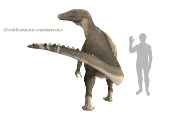 Ostafrikasaurus Crassisseratus
