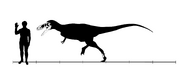 Alioramus skeletal steveoc
