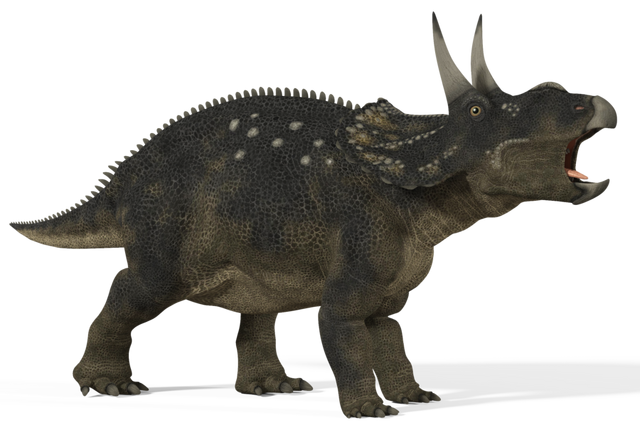 File:Diceratops 01 by 2ndecho-d5368jf.png