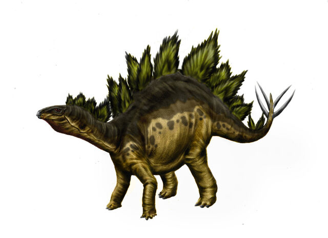 File:Stegosaurus armatus by durbed-d5jtkzt.jpg