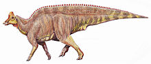 220px-Lambeosaurus laticaud1DB