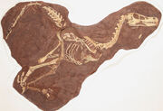 Linheraptor-exquisitus-lg