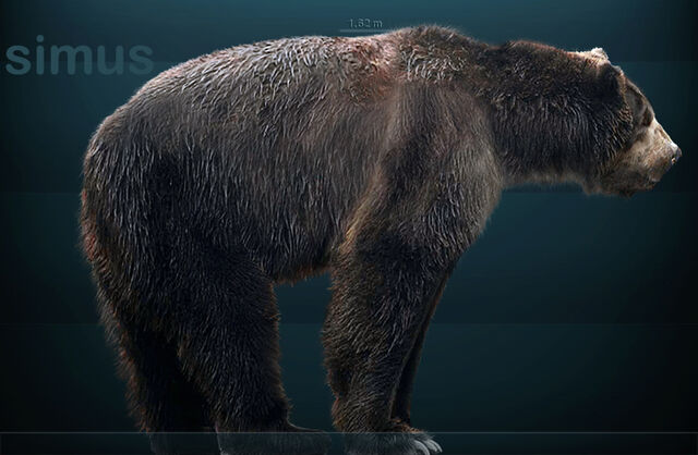 File:Arctodus simus.jpg