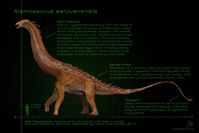 File:Tumblr nyjrbtl7YI1r23z3yo1 r1 1280.jpg