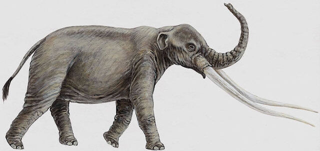 File:AnancusIllustration.jpg