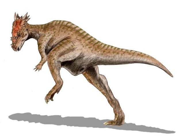 File:Dracorex BW.jpg