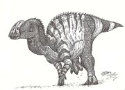 Latirhinus by hodarinundu-d5mr78y