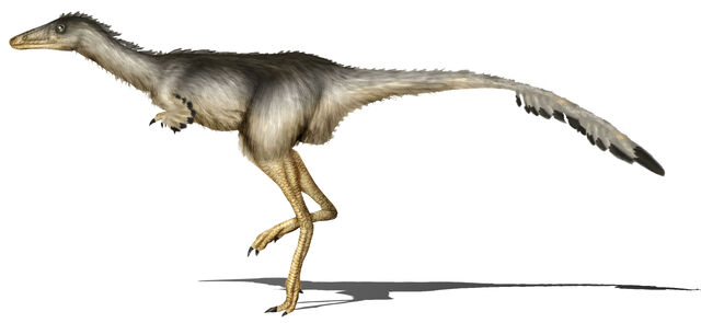 File:Albertonykus borealis.jpg