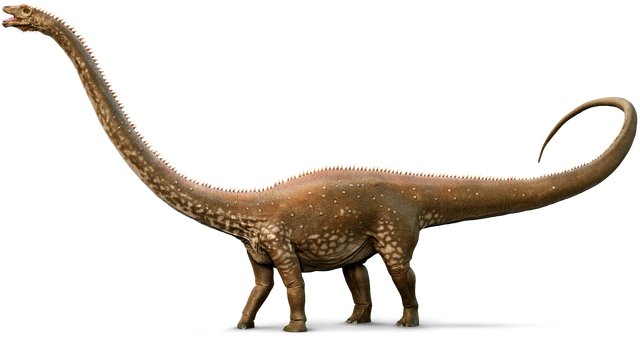 File:Diplodocus whole amzt6e.png