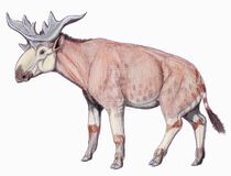 Sivatherium giganteum by DiBgd