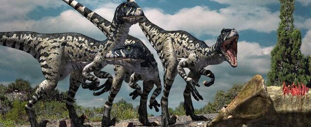 File:367 dromaeosaurus doruk.jpg