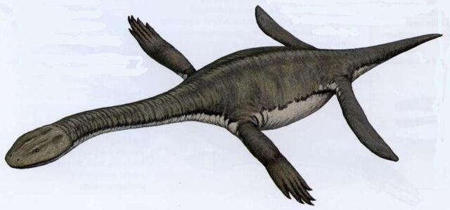 File:Dactylosaurus.jpg