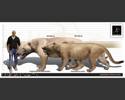 Megistotherium-738x591