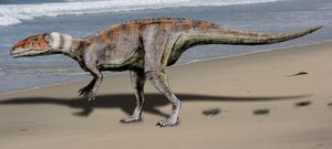 Dubreuillosaurus NT