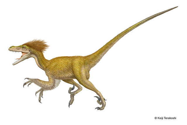 File:Mm-deinonychus-illustration-big.jpg