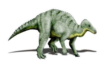 Hippodraco 2