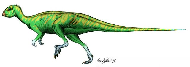 File:Qantcol.jpg
