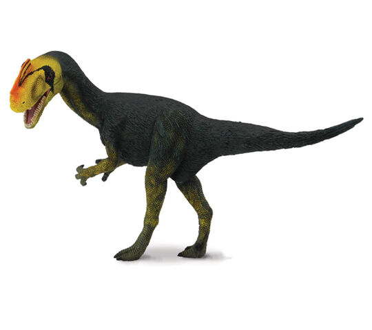 File:Proceratosaurus web.jpg
