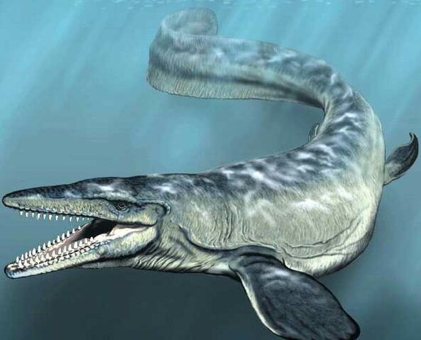 File:1-mosasaur.jpg
