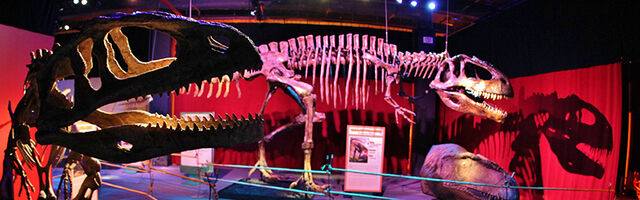 File:D12.jpg
