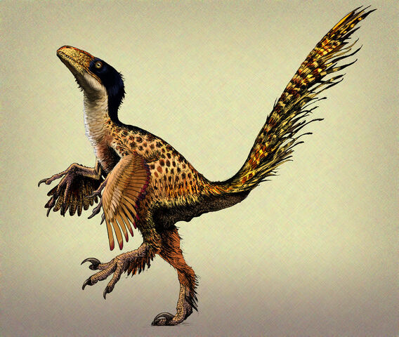 File:Hesperonychus.jpg