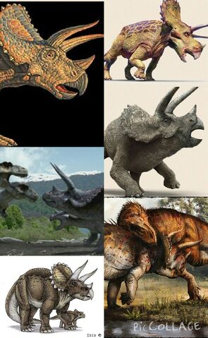 File:Stegosaurus (2).jpg