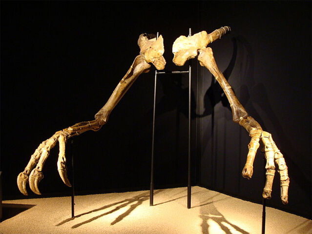 File:Claws.jpg