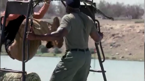 File:Capture 600.PNG