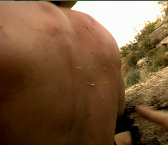 File:Pricky pancho5.png