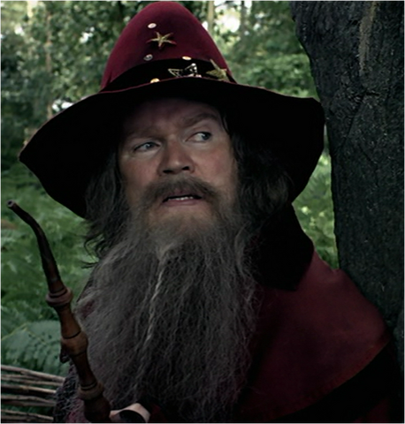 File:Wizard leader.png