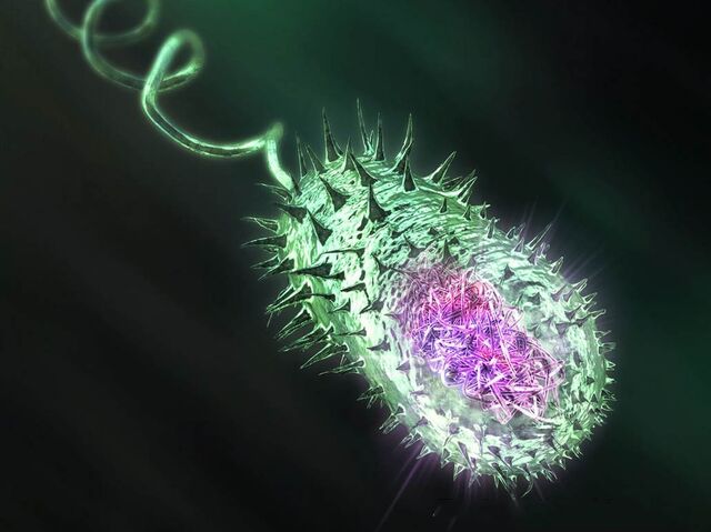 File:THE GIANT CHOLERA.jpg