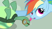 180px-Rainbow Dash getting affection S3E11