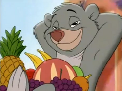 Baloo1996