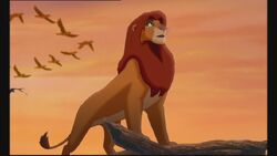 Thelionking2 147