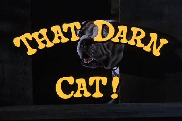 File:That-darn-cat-disneyscreencaps.com-159.jpg