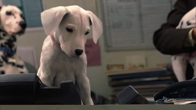 File:102-dalmatians-disneyscreencaps.com-2606.jpg