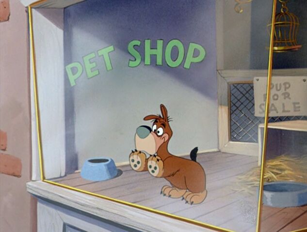 File:Tumblr ntd931z6ds1qhcrb0o1 1280.jpg