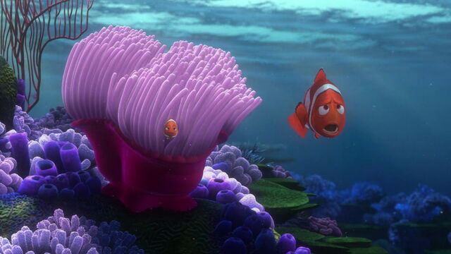 File:Finding-nemo-disneyscreencaps.com-17.jpg
