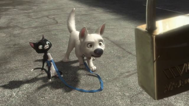File:Vlcsnap-2015-08-23-17h05m49s685.png