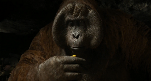 File:Jungle Book 2016 167.png