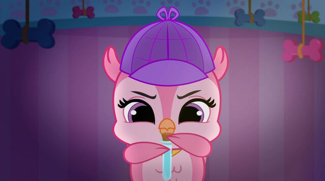 File:Chowing Down-021.jpg