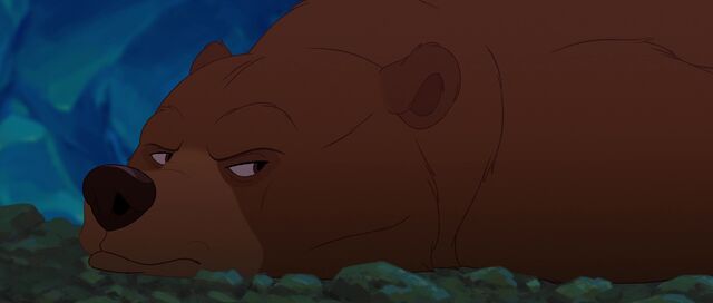 File:Bear 8.jpg