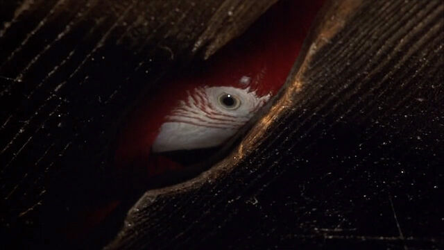 File:102-dalmatians-disneyscreencaps com-8769.jpg
