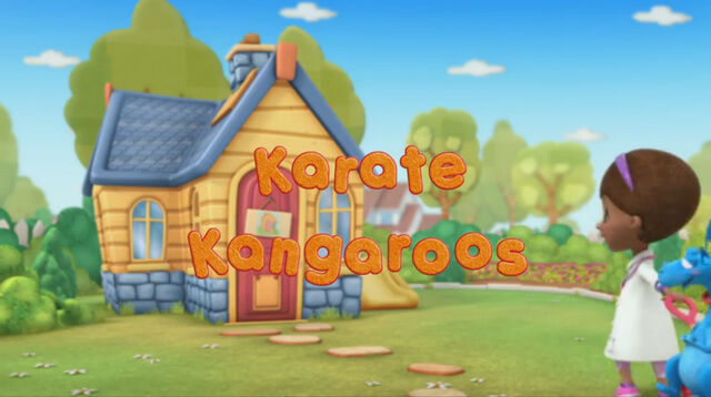 File:Karate Kangaroos.jpg