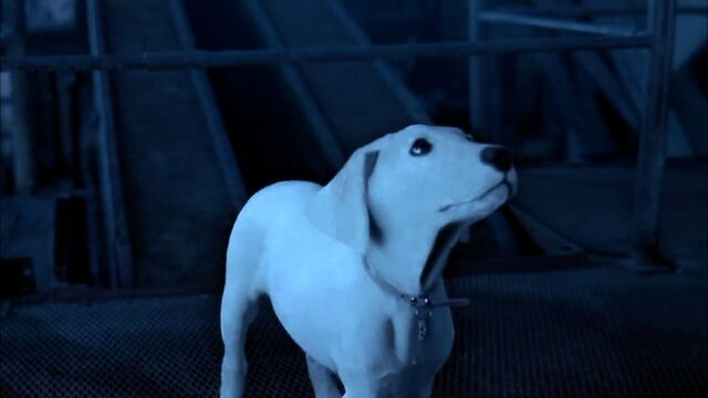 File:102-dalmatians-disneyscreencaps.com-9569.jpg