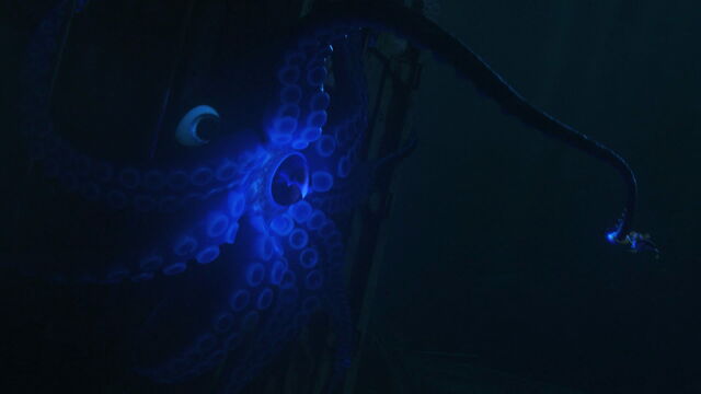 File:Finding-dory-disneyscreencaps com-2153.jpg