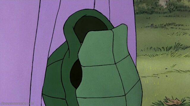 File:Toby hiding in his shell.jpg