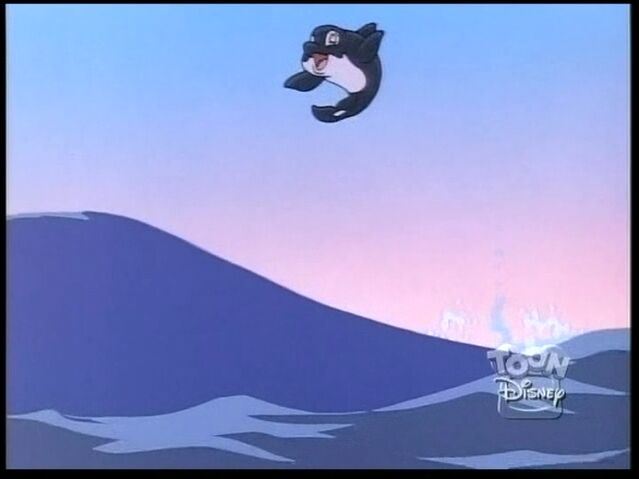 File:Whale3.jpg