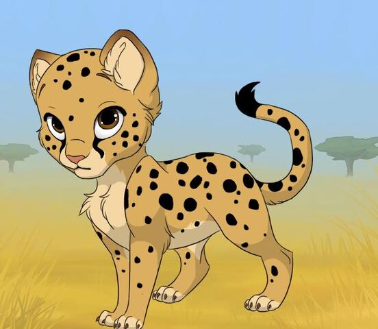 File:Mulancheetah.jpg